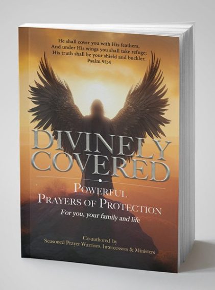 Divinely Covered Book_3-D Cover